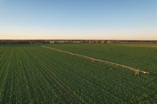 Farm Expressions of Interest - VIC - Tongala - 3621 - Koraleigh Park - A highly developed irrigated & dryland farming platform in the Goulburn Valley 