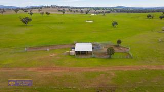 Farm For Sale - NSW - Tamworth - 2340 - A Grazing/Cropping Gem in the Renowned Loomberah, Garoo District 