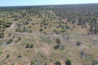 Farm Expressions of Interest - QLD - Bollon - 4488 - Large-scale 40,198 Ha* contiguous grazing holding in South West QLD 