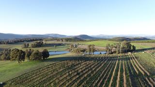 Farm Expressions of Interest - NSW - Willigobung -  2653 - DuFruits: Scale - Quality - Potential - Lifestyle 