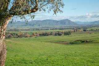 Farm Expressions of Interest - NSW - WELAREGANG - 2642 - Historic Ardenside Station: - Scale - Productivity - Versatility 