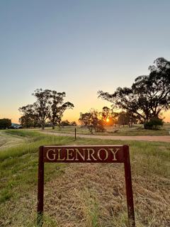 Farm Auction - NSW - GILGANDRA - 2827 - IDEAL SIZE & LOCATION 