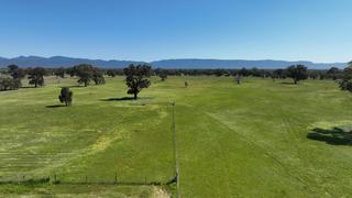Farm For Sale - VIC - Bellellen - 3381 - Lifestyle with rural calm. Productivity with endless potential. 