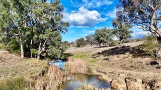 Farm For Sale - NSW - BINGARA - 2404 - Mountain View 
