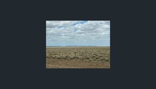 Farm For Sale - QLD - Longreach - 4730 - "Baratria" - Relisted for sale. 