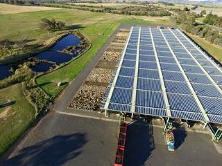 Central Tablelands Livestock Exchange (CTLX)