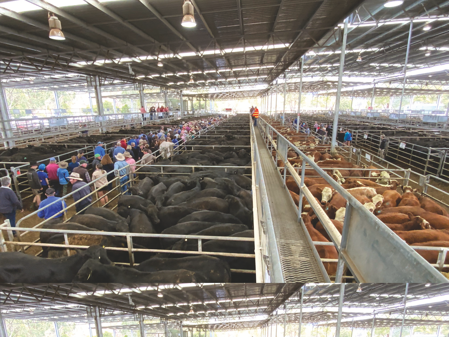 Yea Saleyards