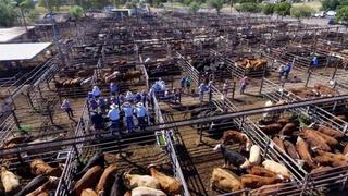 Gunnedah Saleyards