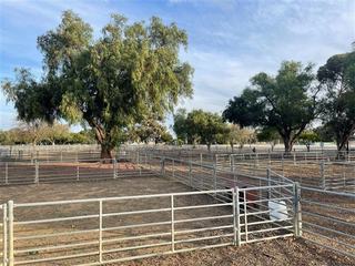 Wycheproof Saleyards