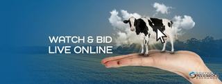 Southern Livestock Exchange