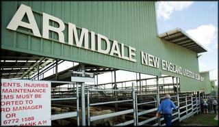Armidale Saleyards