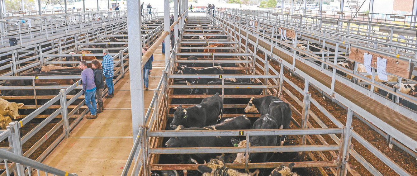 Gippsland Regional Livestock Exchange