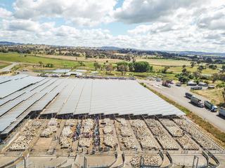 South Eastern Livestock Exchange (SELX)