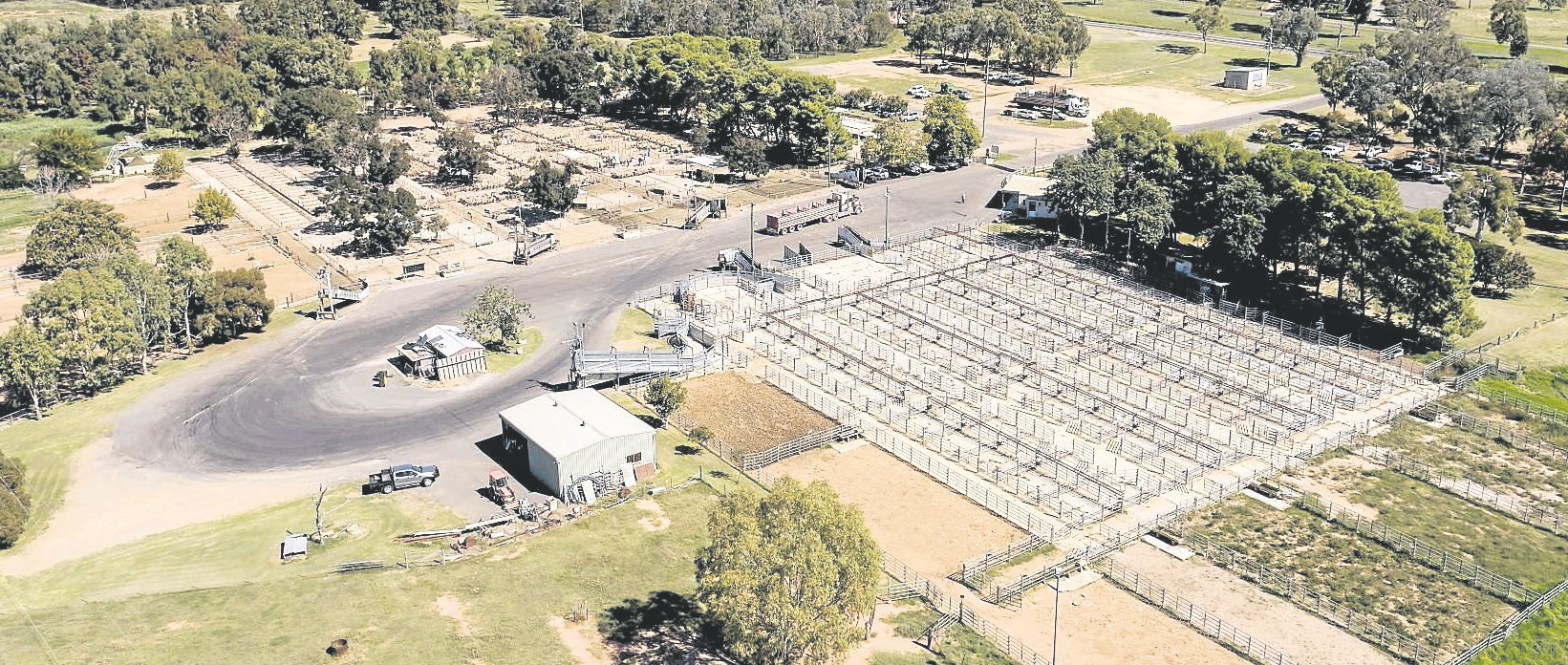 Cowra Regional Livestock Selling Centre
