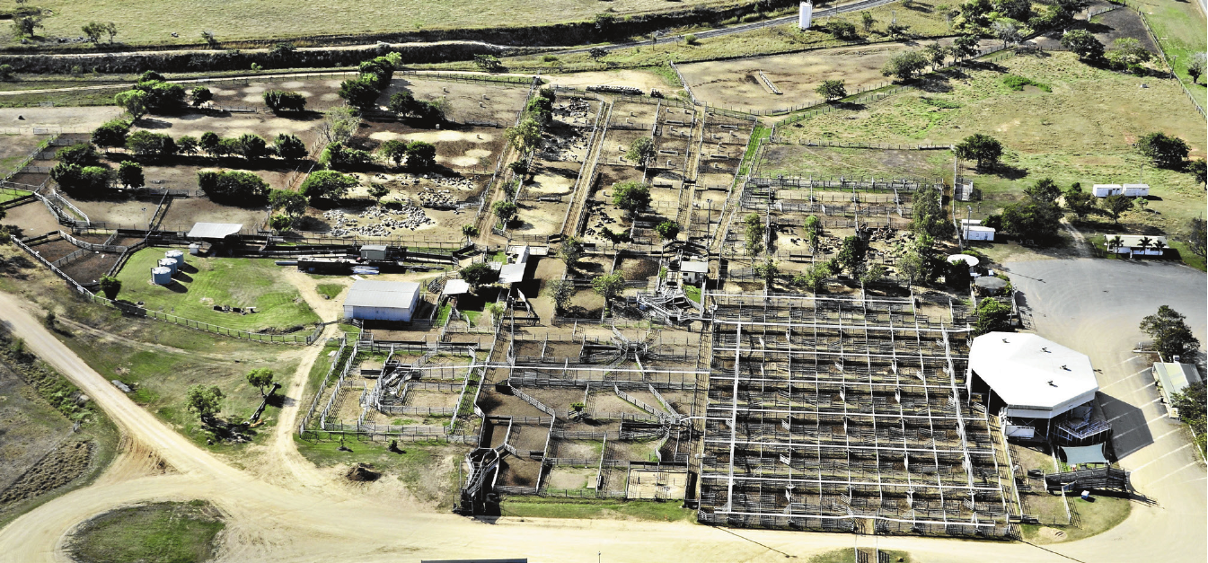 Dalrymple Saleyards