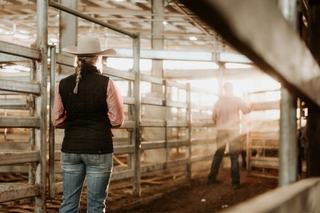 Deniliquin Saleyards