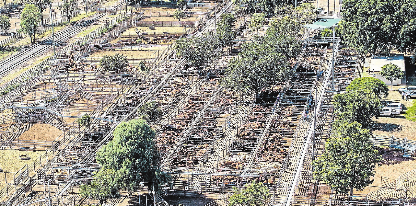 JR Turner Saleyards