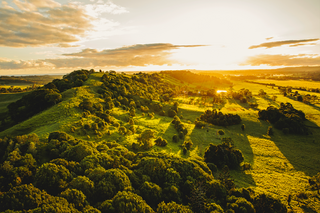 Hidden Gems: Affordable Rural Properties For Sale Northern Rivers NSW