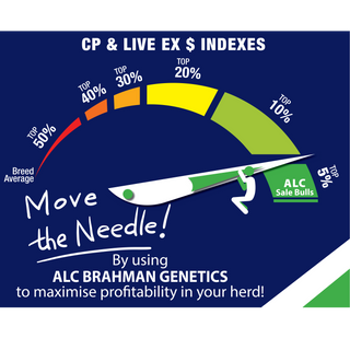 Why ALC Brahmans Puts Fertility First