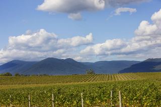 Three Amazing Rural Properties For Sale Yarra Valley VIC