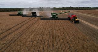 Farm For Sale WA: Institutional Scale Grain + Livestock Production Portfolio