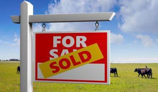 Farmland Prices Record Largest Year-On-Year Increase In 27 Years