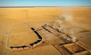 Outstanding Cattle Station For Sale Northern Territory