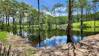 Secluded Rural Land For Sale Sunshine Coast Hinterland