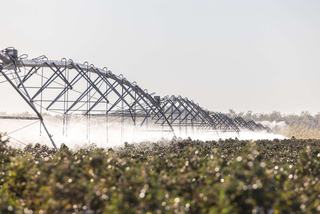 Large Scale Mixed Farm For Sale Northern Territory