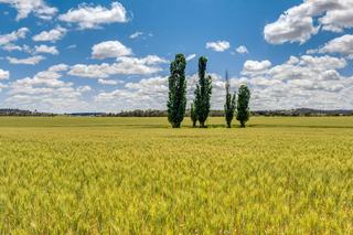 Farms For Sale NSW Southern Tablelands: Farmbuy.com Buyers' Guide