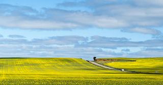 Farms for Sale Riverina NSW: Farmbuy.com Buyers' Guide
