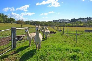 Best Hobby Farms for Sale: Farmbuy.com Buyers' Guide