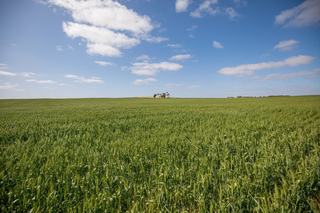 Rural Properties For Sale Western NSW: Farmbuy.com Buyers' Guide
