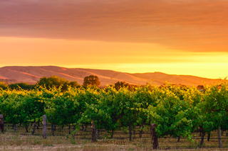 Rural Properties For Sale SA Onkaparinga Region: Farmbuy.com Buyers' Guide