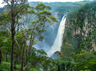 Rural Properties For Sale Armidale, Tenterfield, Glen Innes And Inverell: Farmbuy.com Buyers' Guide