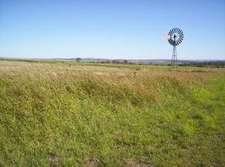 Farms For Sale Darling Downs: Farmbuy.com Buyers' Guide