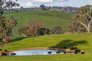 Blue-Ribbon Mixed Farming Property For Sale NSW