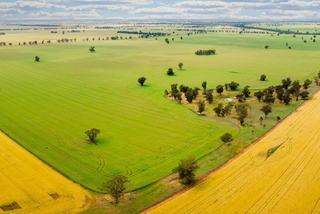 Prime Farming Properties For Sale Riverina NSW