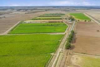 Dairy Farm For Sale Victoria Strategically Located In Goulburn Murray Valley
