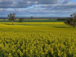 Magnificent Mixed Farming Property for Sale