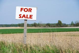 Guide To Valuing Rural Property For Sale