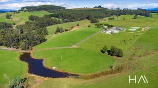 Farm For Sale Tasmania: Blue-Chip Agricultural Investment Opportunity
