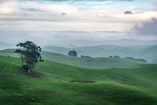 Mid-sized Farms For Sale Gippsland Experience Strong Price Growth