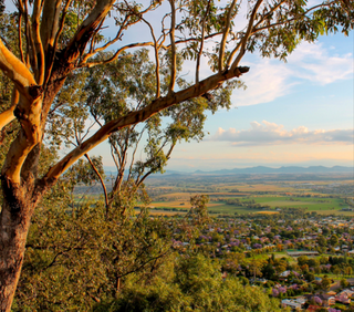 'Tree Changers' Help Drive Prices of Farms For Sale NSW To New Heights