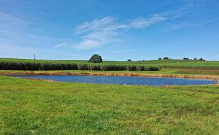 ‘Lifestyle’ Factors Lift Prices Of Farms For Sale QLD To Record Highs