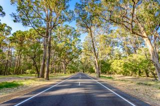 Farms For Sale South West WA: Prices Roar Back Into Life
