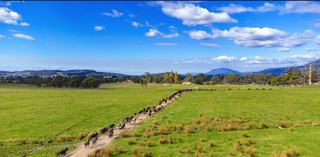 Three-Peat: Prices Of Farms For Sale Tasmania Rise For The Third Consecutive Year