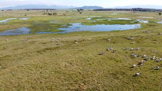 QLD Cattle Property For Sale For First Time In 150 Years!