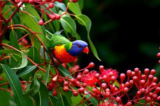 Unique Places to Visit in Australia