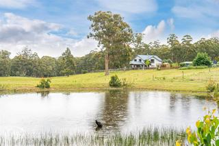 Farm For Sale Tasmania: Country Lifestyle With Dual Residency